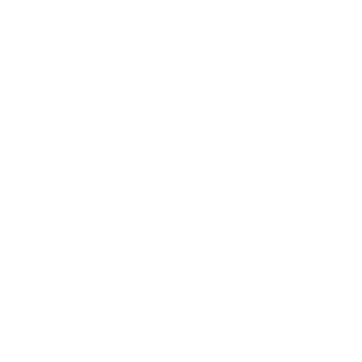 Braunschweig Lions