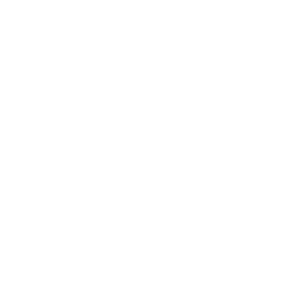 Pforzheim Wilddogs